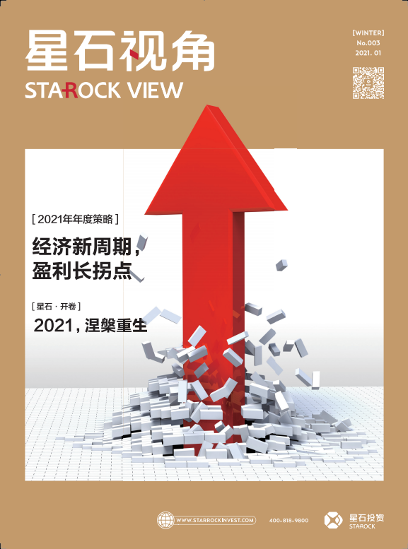 2021年年度策略——經濟新周期，盈利長拐點